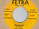 50S  GUITAR ROCKABILLY  BILL FLAGG  TETRA 4445 HEAR