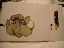 COIL - Ape Of Naples - 4 LP Box Set with insert -Nurse with Wounds / Current 93.