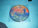 33T PICTURE DISC PINK FLOYD  MORE
