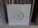 Animal Collective - Polly / Purple Bottle (RARE Vinyl 7
