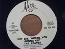 THE LEAVES BE WITH YOU 45 PROMO DJ HEY JOE WHERE YOU GONNA GO NM