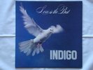 INDIGO - 12