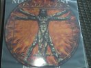 IN FLAMES - CLAYMAN  PICTURE-VINYLLIMITERT SEHR GUTER ZUSTAND