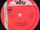 PAD ANTHONY - TURN ME LOOSE       BIG WITTY TUNE  audio