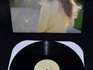 MEG BAIRD - Dear Companion 12