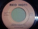 SOUTH REBELS - ultra-rare 1970s UK rockabilly 45 - w/ members of The Blue Cats
