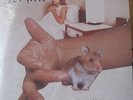 SONIC YOUTH 1998 'a thousand leaves' NEW/SEALED ORGL 2LP SET