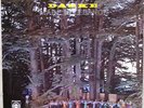 DABKE ORCHESTRA BELLY DANCE HYPNO PSYCH FOLK LIBAN ARABIC LAURICE PETER KHAYAT