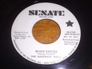 Ultra rare STOCK COPY The Basement Wall NEVER EXISTED Garage Psych 45 mint