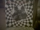 Springtoifel Sex + Droogs POISON VINYL LIMIT.666 Ex Rock o Rama Skinhead Oi