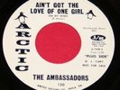 THE AMBASSADORS 