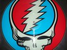 GRATEFUL DEAD  *  STEAL YOUR FACE  *  TMOQ  *  VERY RARE PICTURE DISC  *  NM