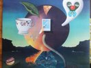 NICK DRAKE PINK MOON, UK FOLK PROG LP ORIGINAL MINT, BEST COPY EVER