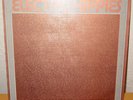 Electro Hippies ,The Peel Sessions Vinyl