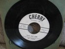 Jaguars obscure hot rod / surf garage Cherry Records Chevy Shut Down / Out of
