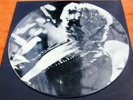 BOB DYLAN Down In The Flood PICTURE DISC Infidels