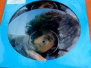 BOB DYLAN Through The Years DOUBLE PICTURE DISC