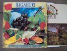 LP Ligabue Lambrusco coltelli rose & popcorn