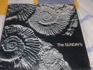 THE SUNDAYS  SELF TITLE ORIGINAL UK EDITION  1990  LP SMITHS  MORRIES  EX