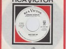 Lorraine Chandler 45 What Can I Do / Tell Me You’re Mine (N Soul) DJ Promo NM