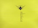 Cocoon Compilation D  6x12