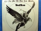 BadAxe: Cry for Me / All You Can Stand  [Bad Axe] Picture Sleeve, New & Original