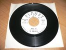 MONTEREYS | Blast Off rare surf instro + garage ballad (1965) HEAR