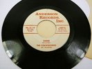 The Countdowns 60s Garage Surf Instrumental Do It - Done - Anderson Record 45