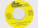 SONNIE 'N BRITE-THAT'S THE WAY THINGS ARE / AT THE PARTY - SON COOKIE