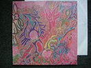 FLUTE & VOICE IMAGINATIONS OF LIGHT AMBER SOUNDROOM VINYL LP RE PRIVAT KRAUTROCK