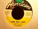 TOMMY G. & THE CHARMS  - I KNOW WHAT I WANT - HURRICANE  DEEP /  NORTHERN SOUL