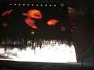 Soundgarden Superunknown 2- LP Mint color w/inserts ltd ed g/f