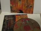 SLAYER - HELL AWAITS -----PICTURE DISC-----VINYL LP