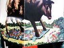 1971 HEAVY ROCK   BULL ANGUS   1st   Sir Lord Baltimore