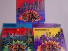 Sam Rivers Sunny Murray Marion Brown Andrew Cyrille Wildflowers Complete 5Lp NM