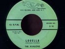 Rare Doo-Wop 45 THE AVALONS Louella {DICE}
