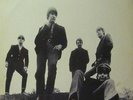The Animals(Vinyl LP )Animalism-Decca-LK 4797-uk-Ex/Ex
