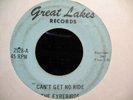 FYRBIRDS GREAT MICHIGAN GARAGE 45 ON GREAT LAKES 2518 FENTON LISTEN TO IT