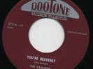THE SAIGONS You're Heavenly / Honey Gee   R&B  45 RPM  RECORD