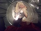 MADONNA 12