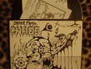 ORDER FROM CHAOS 7