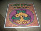 ORANGE ALABASTER MUSHROOM - SPACE AND TIME - RARE LP  PSYCH EARWORM 2000