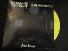 ARMAGGEDON / WOODS OF INFINITY - Anti ***nist EP (Burzum)