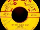 JOHN SUHR: HEY HEY, SUGAR BABY, WEE REBEL ROCKABILLY 45