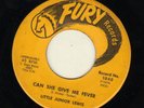 NEW BREED R&B on FURY--LITTLE JUNIOR LEWIS--HEAR BOTH