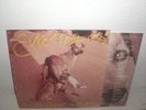 Los Enemigos Tras el utlimo no va nadie LP  Vinilo