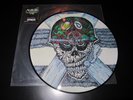S.O.D. Speak english or die picture disc LP record Stormtroopers of Death SOD