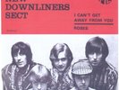 listen*DON CRAINE & DOWNLINERS SECT*psych freakbeat mod rnb*CAN'T GET AWAY/ROSES