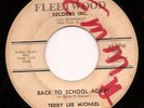 Killer 1963 Rockabilly 45 - TEDDY LEE MICHAEL 