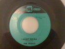THE TROLLS I DONT RECALL 45 EX CONDITION MOD GARAGE PSYCH